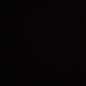 Meet your Posher, Maddie